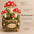Myeloviracare™ Woodland Mushroom Forest Planter Decor